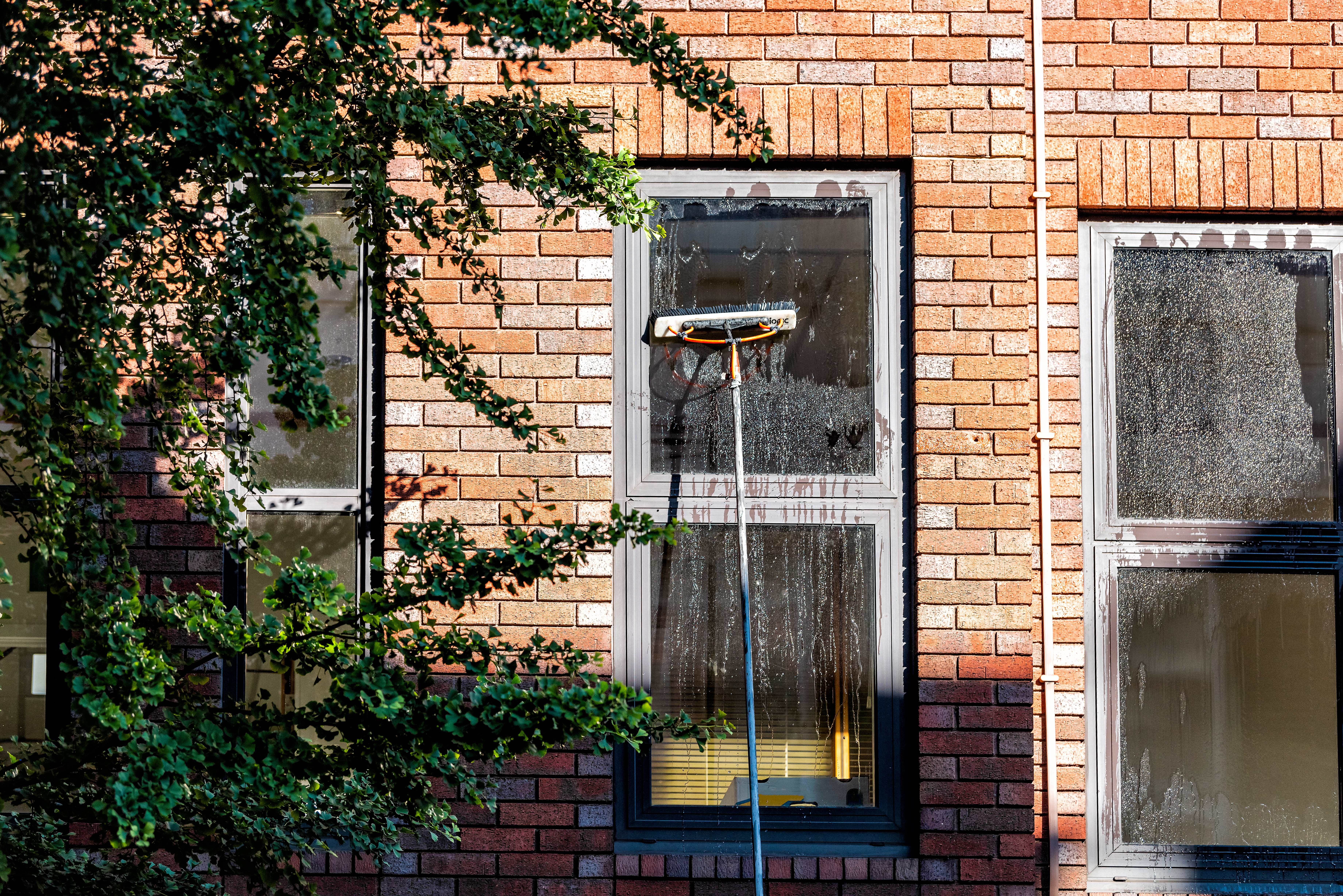 Wayzata window washing near me